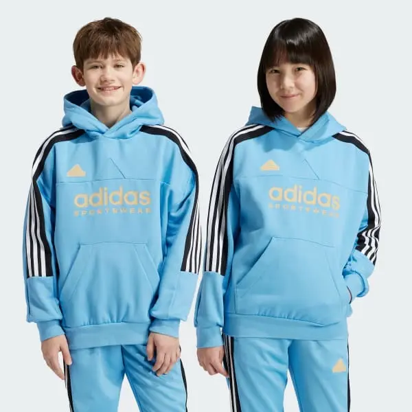 ADIDAS FELPA 3 STRISCE CON CAPPUCCIO IY6378