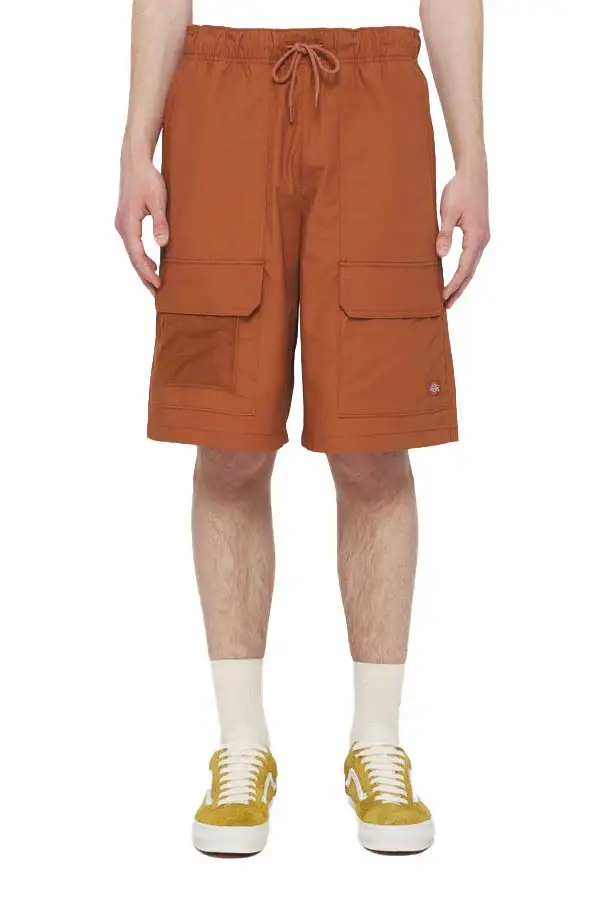 DICKIES BERMUDA CARGO FISHERSVILLE UOMO DK0A4YSIH161