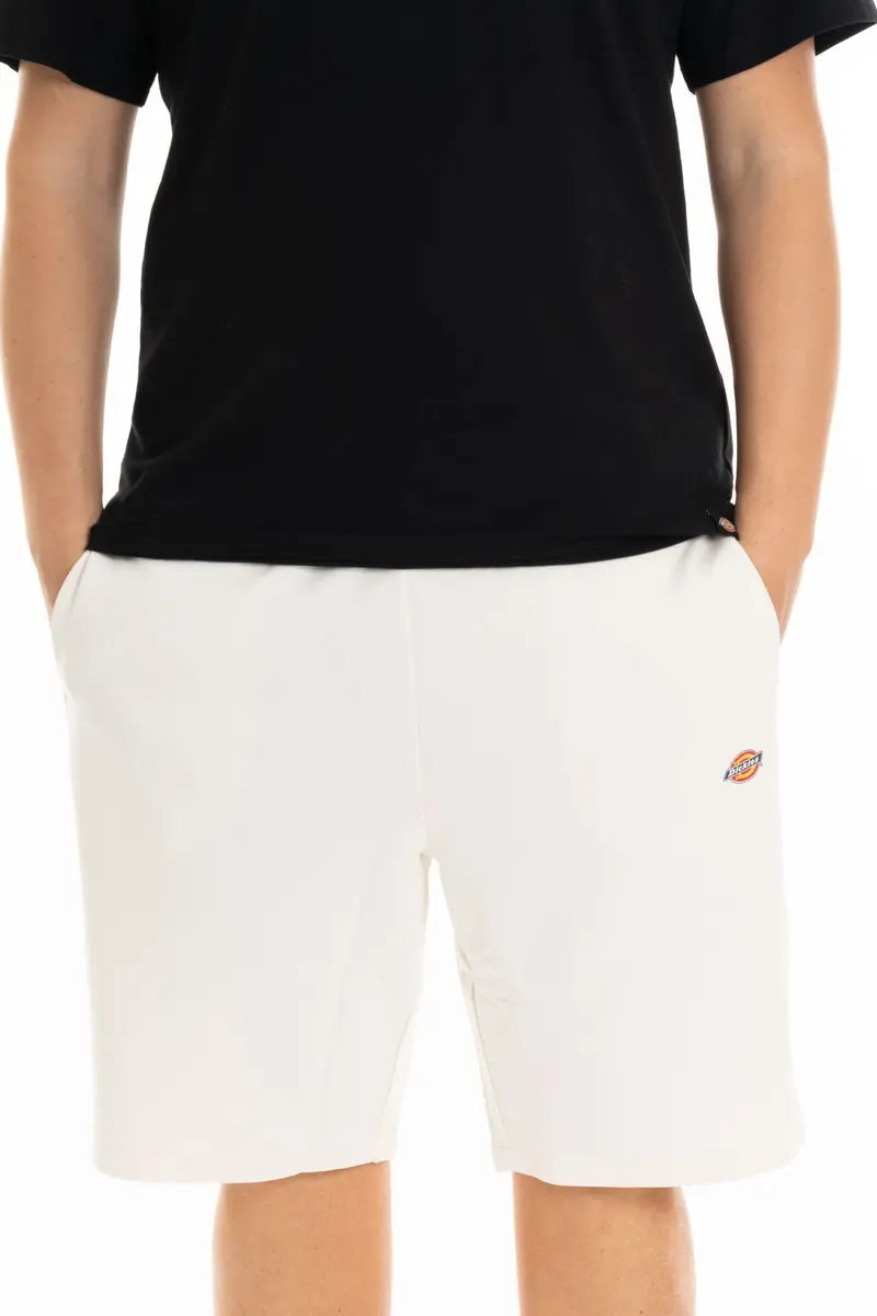 DICKIES BERMUDA MAPLETON UOMO DK0A4Y83ECR1