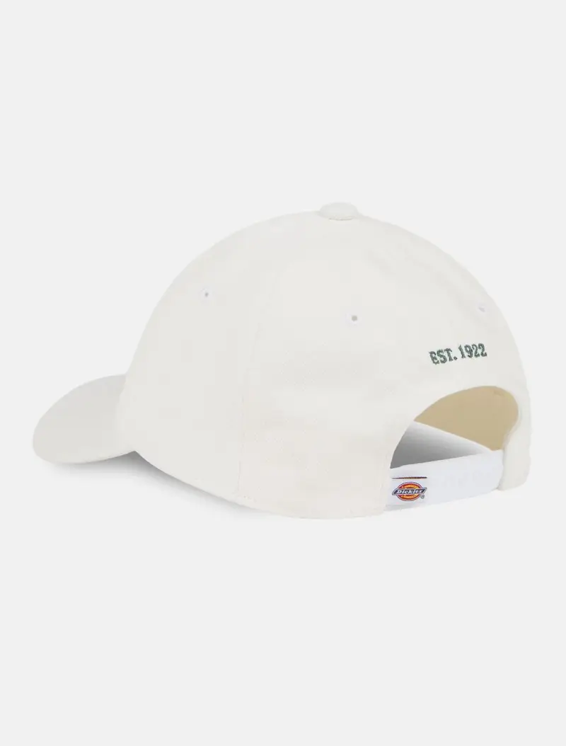 DICKIES CAPPELLO CON VISIERA HARDWICK CON LOGO DK0A4YPHWHX1