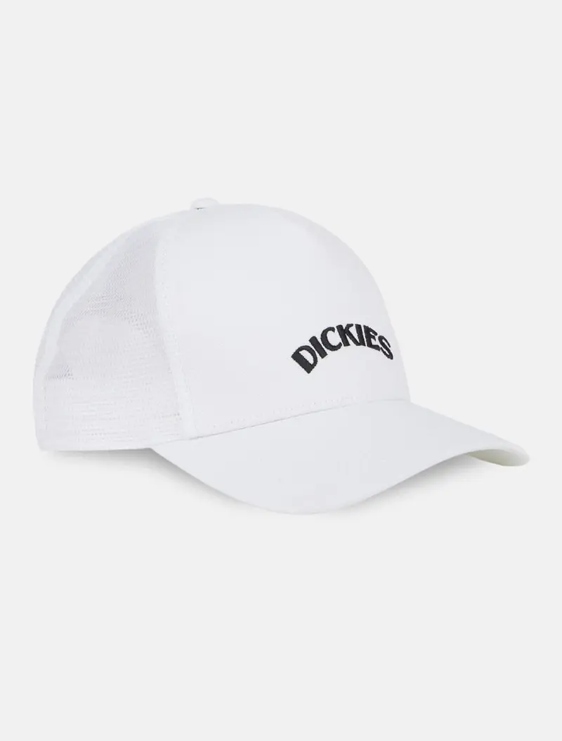 DICKIES CAPPELLO CON VISIERA SHAWSVILLE CON LOGO DK0A4YPGC581