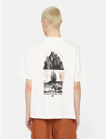 DICKIES PEARISBURG T-SHIRT MEZZA MANICA UOMO DK0A4YRKC581