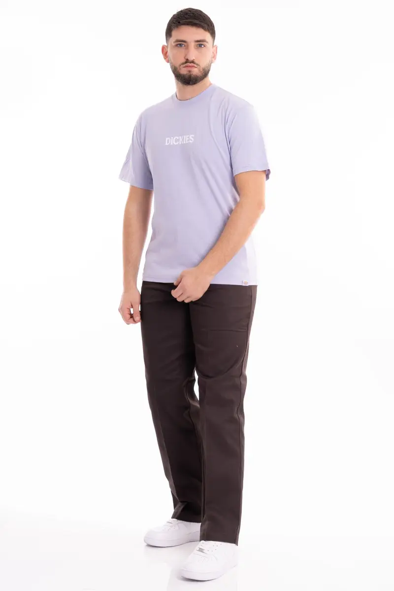 DICKIES T-SHIRT SHORT SLEEVES PATRICK SPRINGS UOMO DK0A4YR7H181