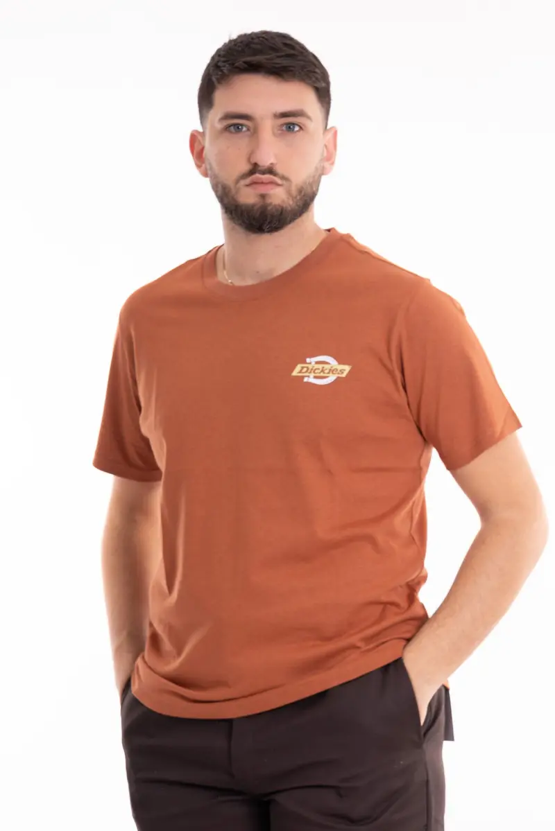 DICKIES T-SHIRT SHORT SLEEVES RUSTON UOMO DK0A4XDCH161