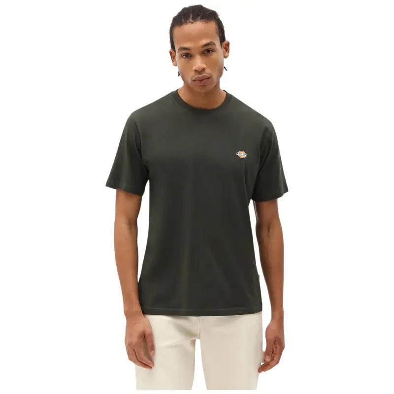 DK0A4XDBOGX1 - T-SHIRT - Dickies