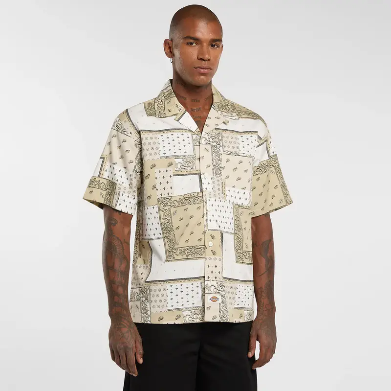 DK0A889TC481 - Camicie - Dickies