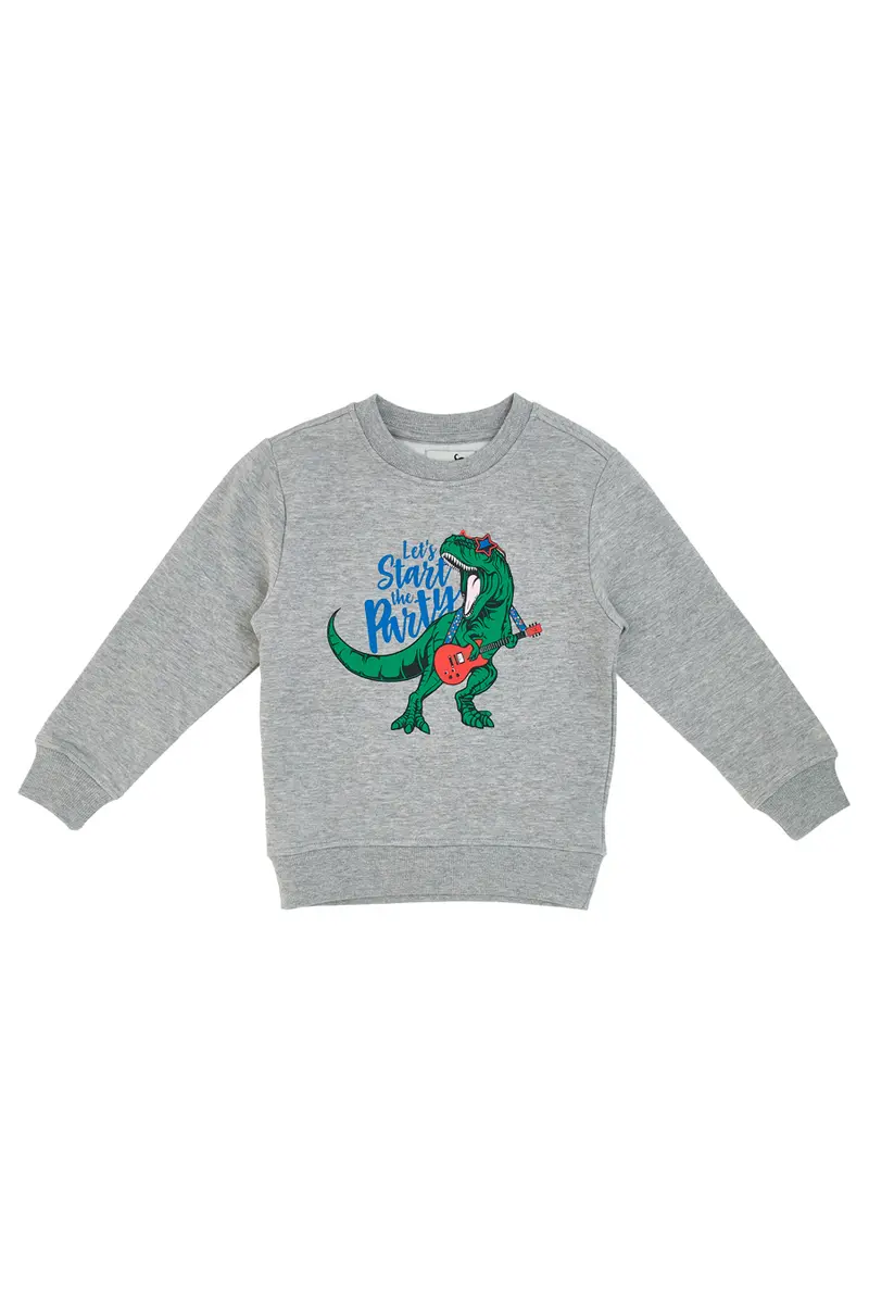 Felpa Pitt Kids 04026 Grigia