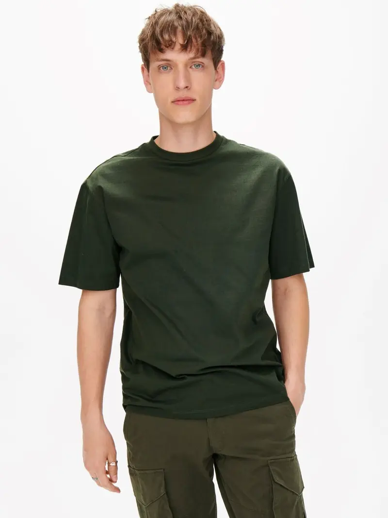 ONLY&SONS FRED RELAX SS TEE 22022532.