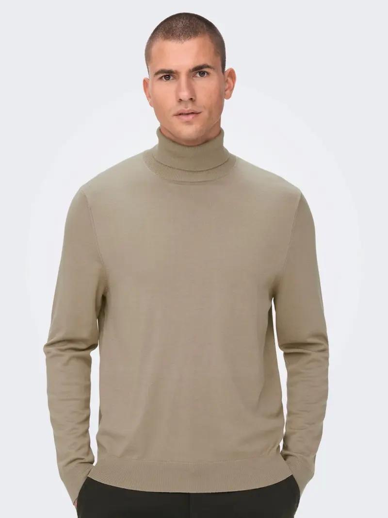 ONLY&SONS M WYLER LIFE REG ROLL NECK 22020879