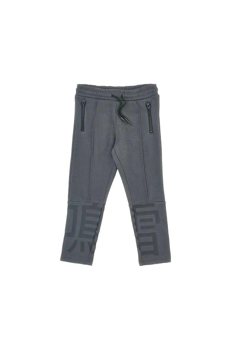 Pantaloni grigi felpati con stampa grafica Pitt Kids PT-KP-8009
