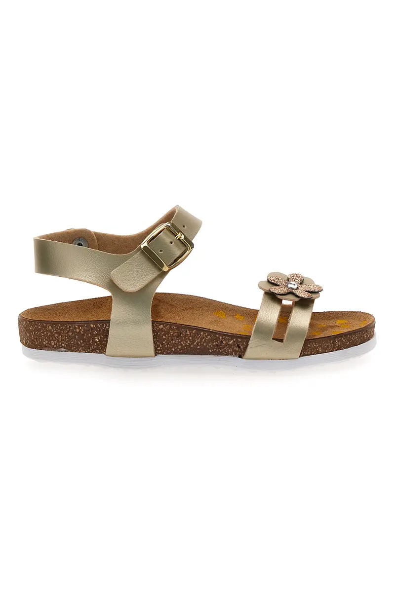 Sandali platino con strass colorati Pittarello Bio 257A007SR