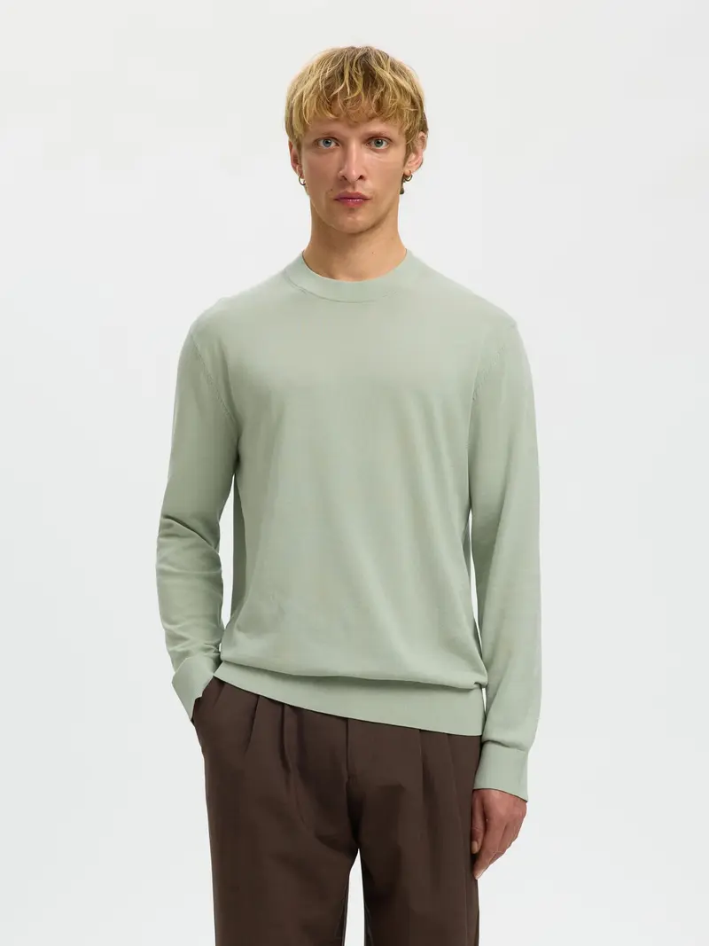 SELECTED HOMME TORINO MAGLIONICNO GIROCOLLO 16099817 AQG