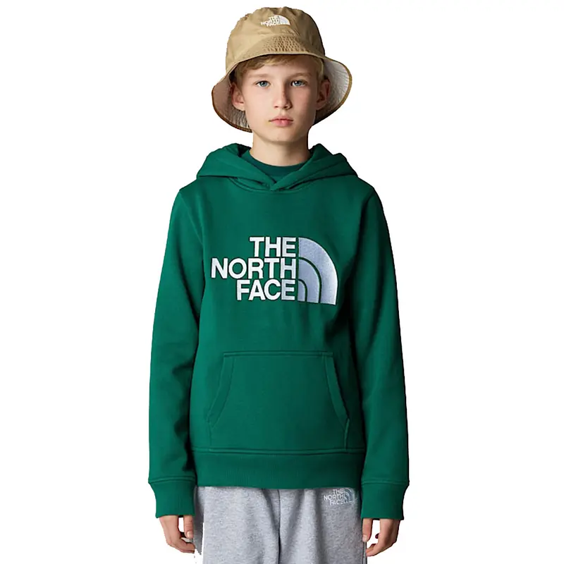 THE NORTH FACE FELPA CON CAPPUCCIO E LOGO JR NF0A89HHNL1