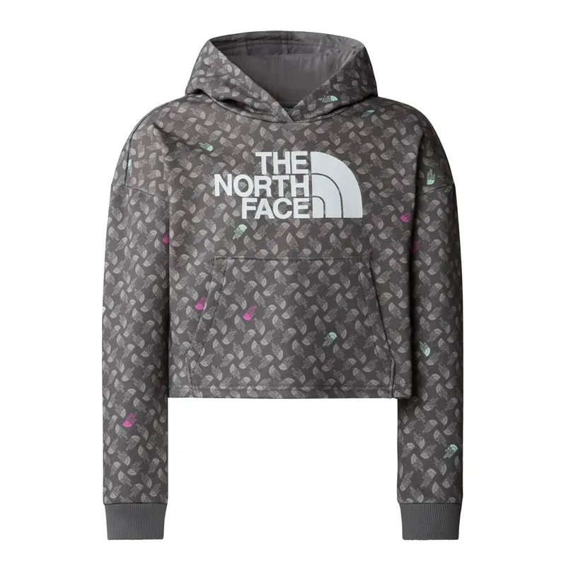THE NORTH FACE FELPA DREW PEAK LIGHT HOODIE PRINT JR NF0A8872VIJ