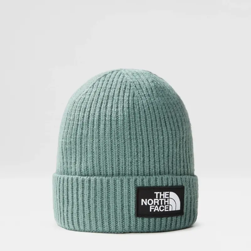 THE NORTH FACE M LOGO BOX CUFFED BEANIE NF0A3FJXI0F1