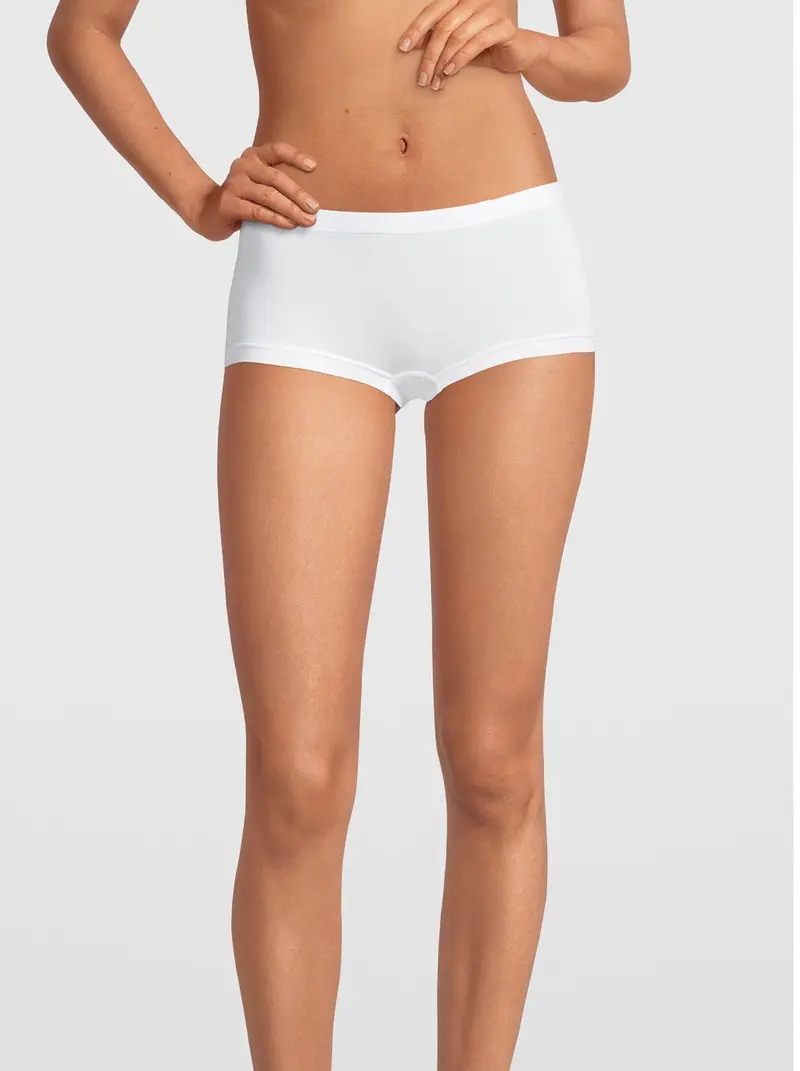Ultralight Micromodal Maxi Brief 1219